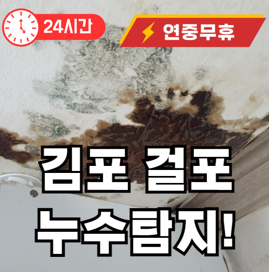 걸포동 누수탐지