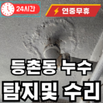 등촌동 아파트 단지 누수탐지