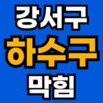 강서구 하수구 막힘 24시 뚫어주는 업체