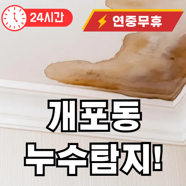 개포동 누수 탐지 24시 출장업체