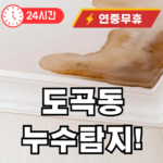 도곡동 누수탐지