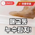 매교동 누수탐지