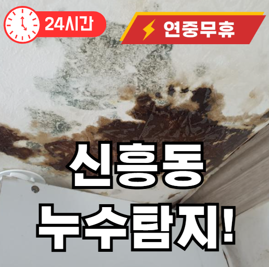 신흥동 누수탐지