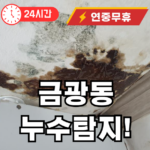 금광동 물 세는곳 누수 탐지