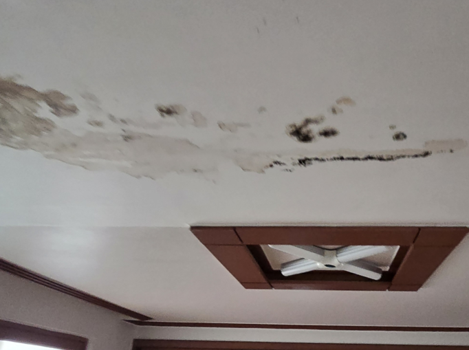 하수구 역류로 인한 천장 물샘