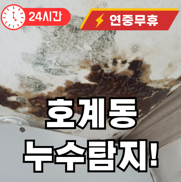 호계동 누수탐지