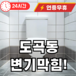 도곡동 변기막힘