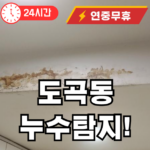 도곡동 누수탐지