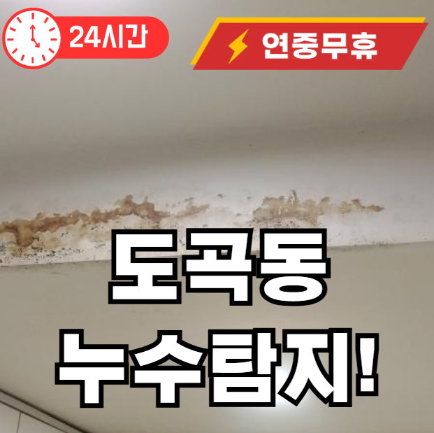 도곡동 누수탐지