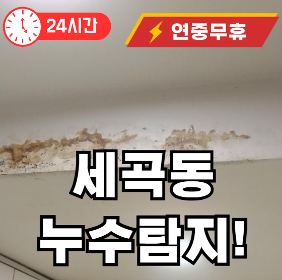 세곡동 누수탐지