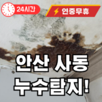 안산 사동 누수탐지