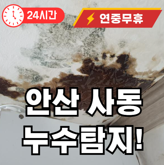 안산 사동 누수탐지