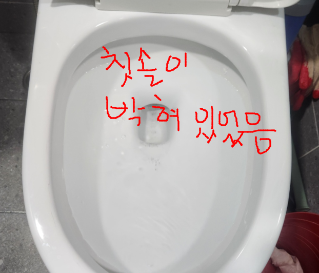 칫솔로 인한 변기 막힘