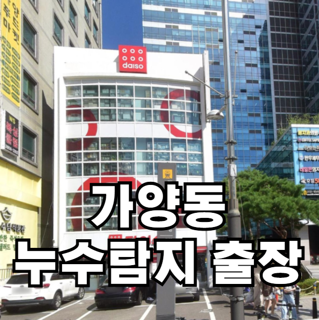 가양동 역류로 인한 누수탐지 출장