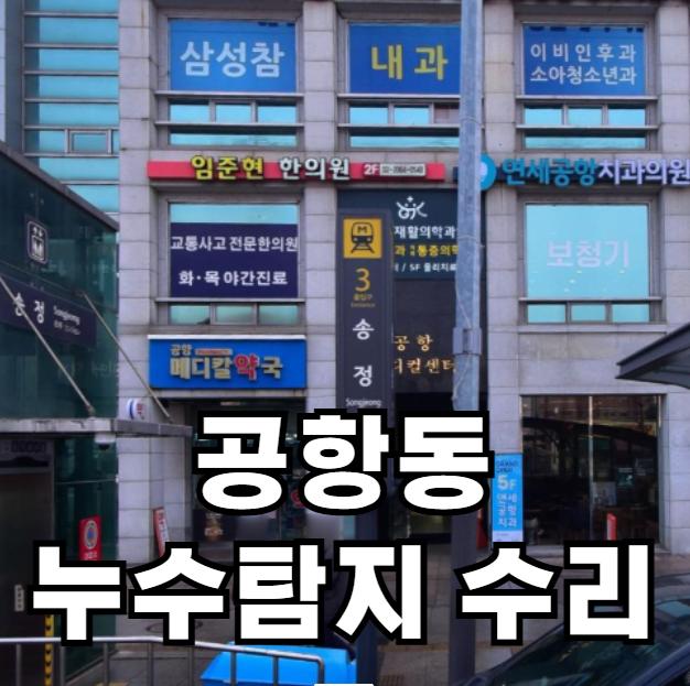 공항동 인근 누수 탐지 및 수리