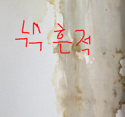 누수 발생 흔적