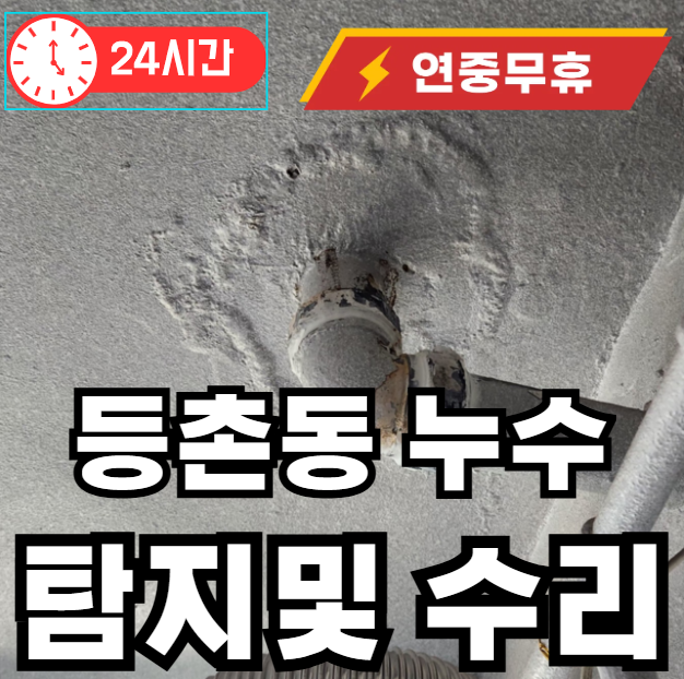 등촌동 아파트 단지 누수탐지