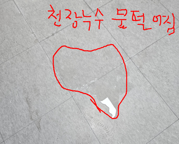 천장 누수로 바닥 물 떨어짐