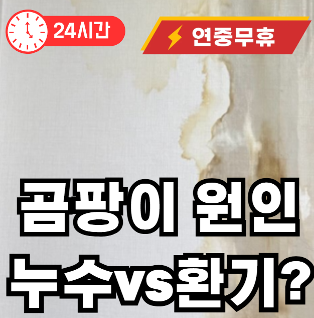 곰팡이 누수 환기 구분하는 법