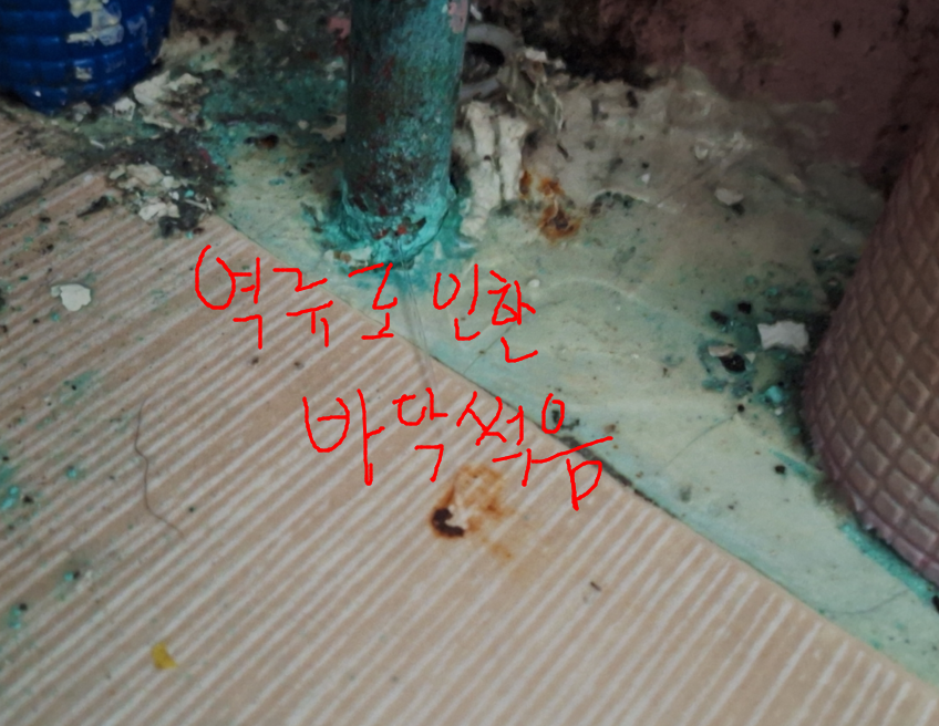 역류로 인한 바닥 썪음