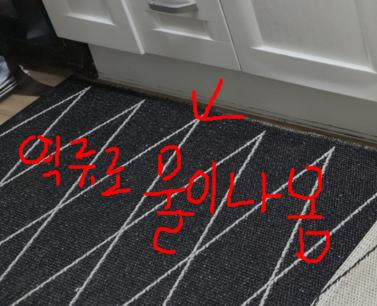 싱크대 하부장 역류로 물이 나옴