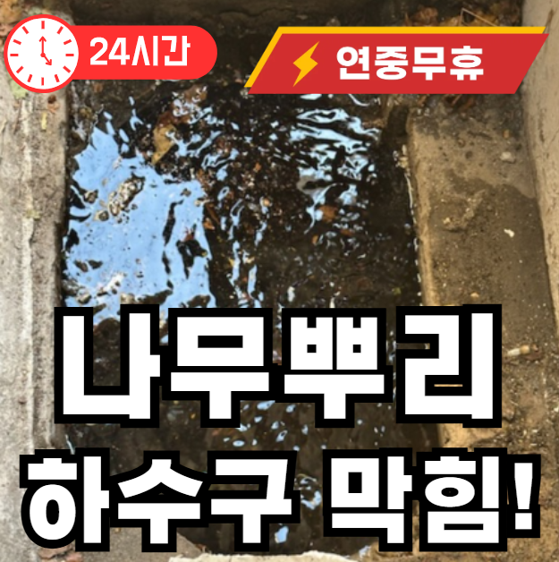 나무뿌리 하수구 배관 막힘