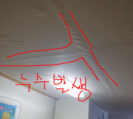 누수 발생 지점