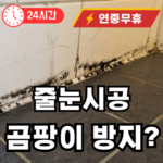 줄눈 하기전 곰팡이